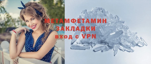 индика Арсеньев