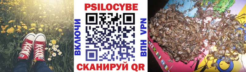 Галлюциногенные грибы Cubensis  Пудож 